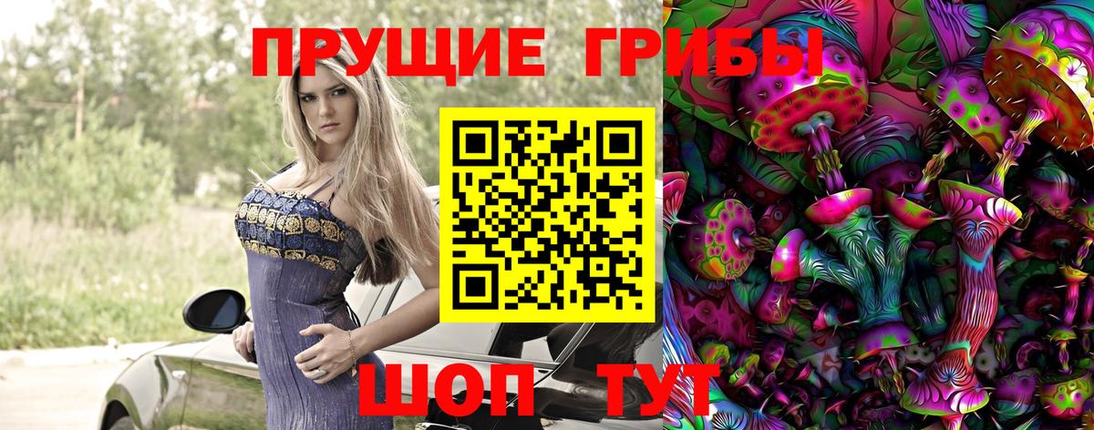 Галлюциногенные грибы ЛСД  Берёзовский 