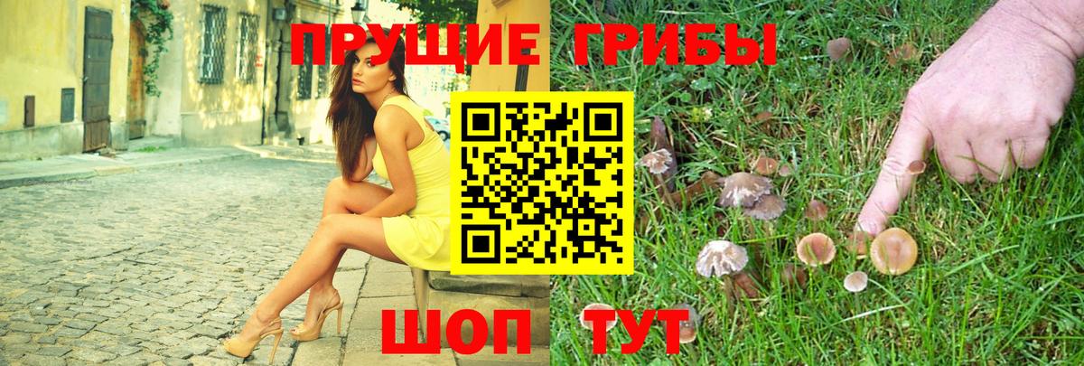 Берёзовский  Галлюциногенные грибы Psilocybe  Вход с VPN 