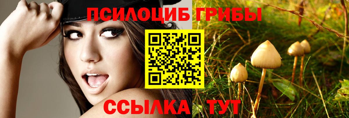 Метамфетамин  ГАШИШ  Берёзовский  МЕФ  Вход с VPN  Меф МЯУ МЯУ   МДМА  Каннабис  Alpha PVP СОЛЬ кристаллы  Канабис 